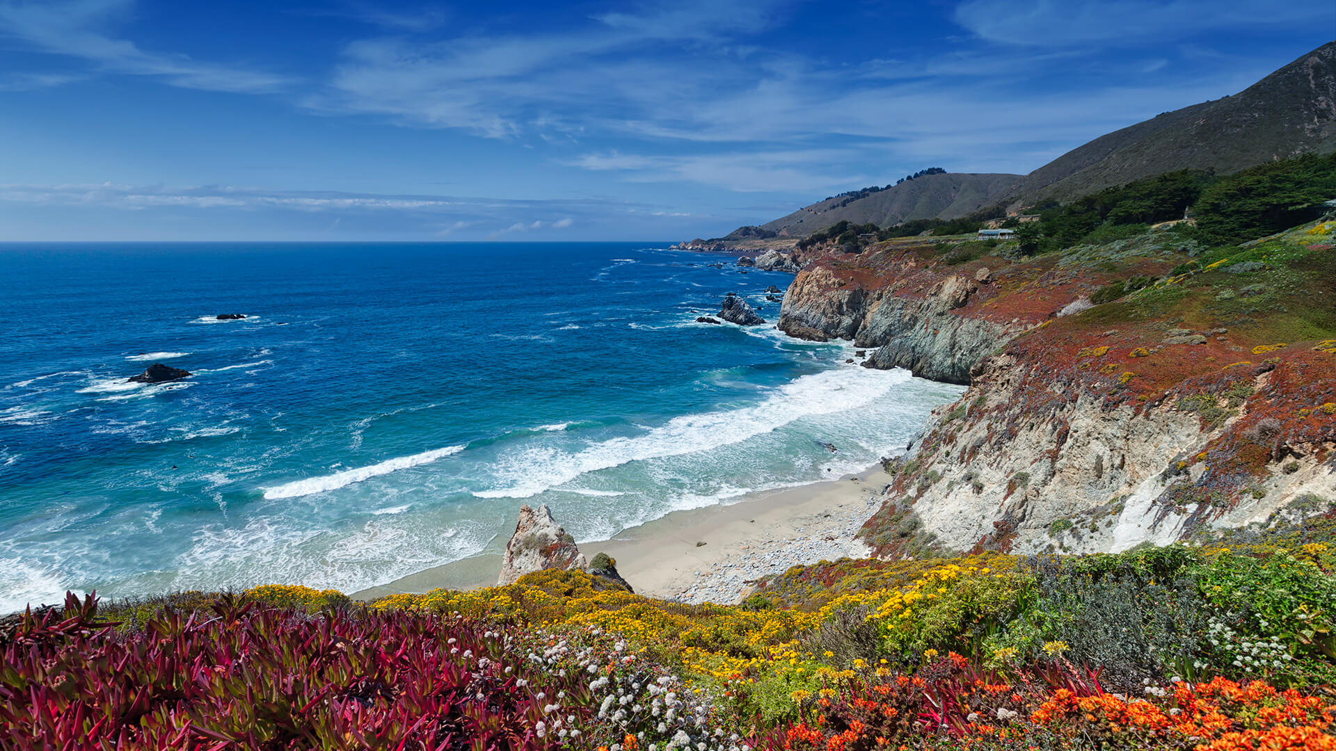 Ocean coastline where water's high specific heat moderates the local temperature