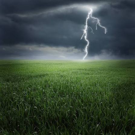 Cloud-to-ground lightning bolt, a large-scale static electricity discharge
