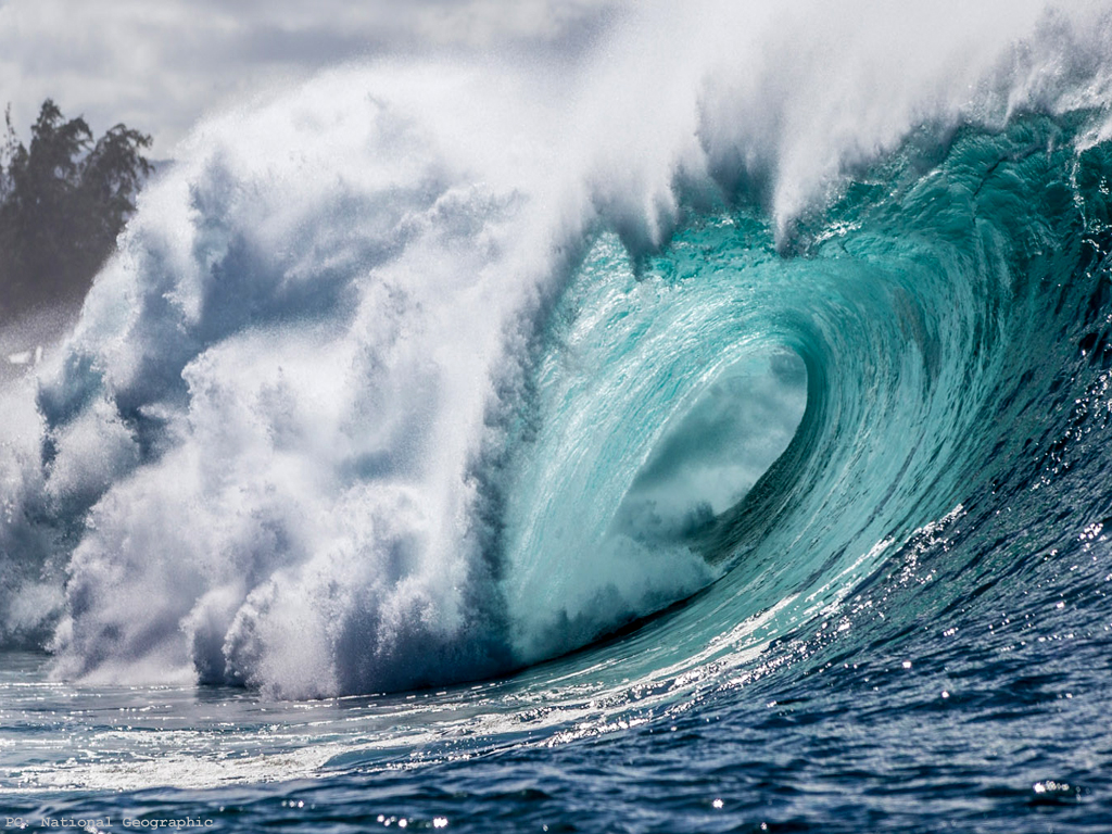 Ocean waves as an example of transverse vs longitudinal waves debate