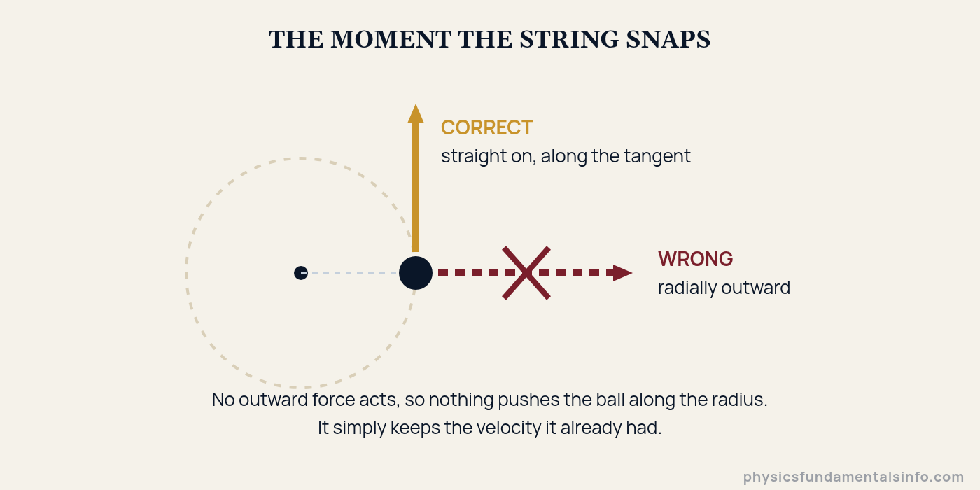 Centrifugal force - Diagram showing that when a whirling string breaks the ball travels along the tangent, not radially outward