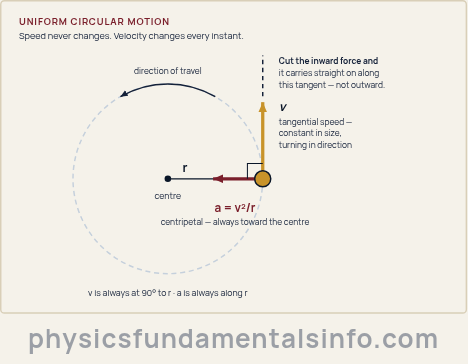 Circular motion physics diagram: the velocity arrow points along the tangent while the centripetal acceleration a equals v squared over r points to the centre of the circle