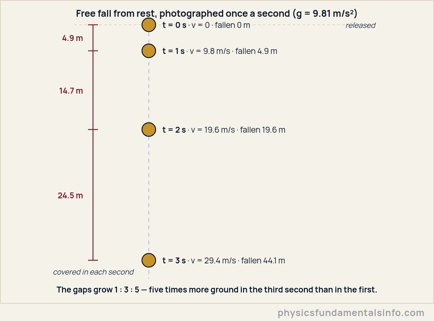 Free fall physics strobe diagram: a ball released from rest has fallen 4.9 m after 1 second, 19.6 m after 2 seconds and 44.1 m after 3 seconds, with the gaps growing in the ratio 1 to 3 to 5