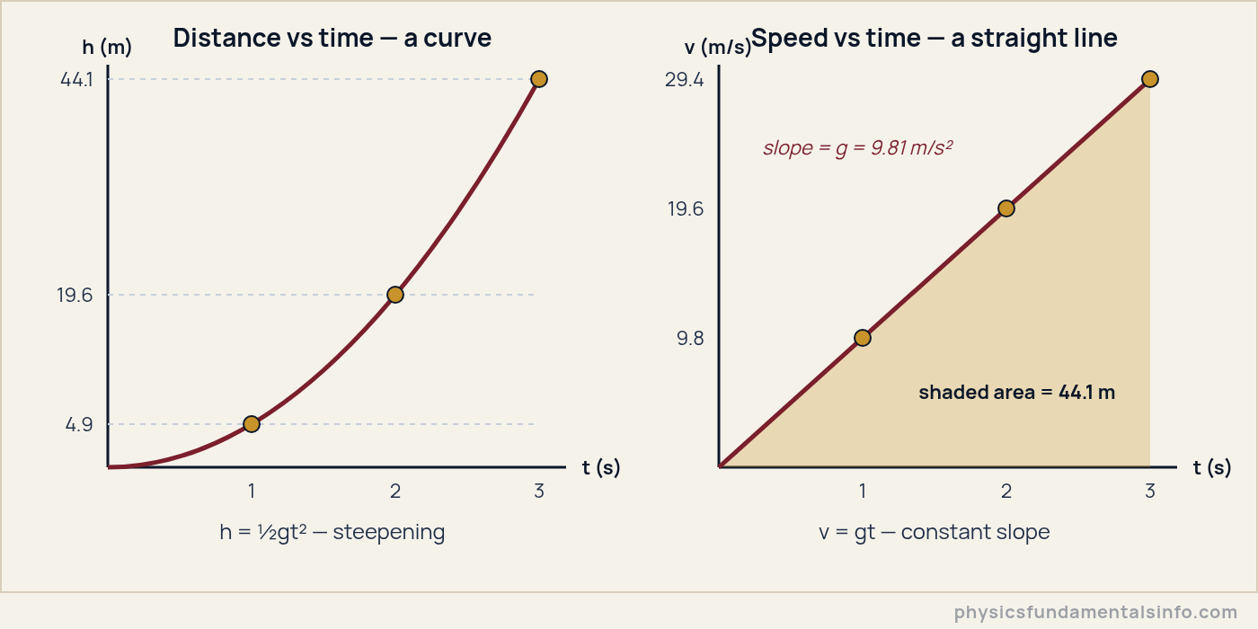 Two free fall physics graphs side by side: distance against time curves upward as a parabola reaching 44.1 m at 3 seconds, while speed against time is a straight line of slope 9.81 reaching 29.4 metres per second