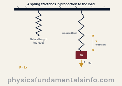Diagram showing a relaxed spring at its natural length beside an identical spring stretched by a hanging mass, with the extension x marked, illustrating that extension is proportional to force in Hooke's Law