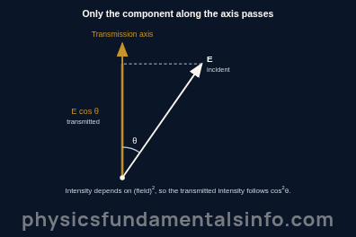 Polarization of light - Vector diagram of Malus's law showing an incident polarization arrow at angle theta to a vertical transmission axis and its transmitted component E cosine theta along that axis