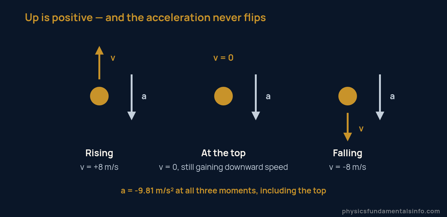 How to solve physics problems - Diagram of a ball thrown upwards showing velocity changing sign while acceleration stays downward at every stage