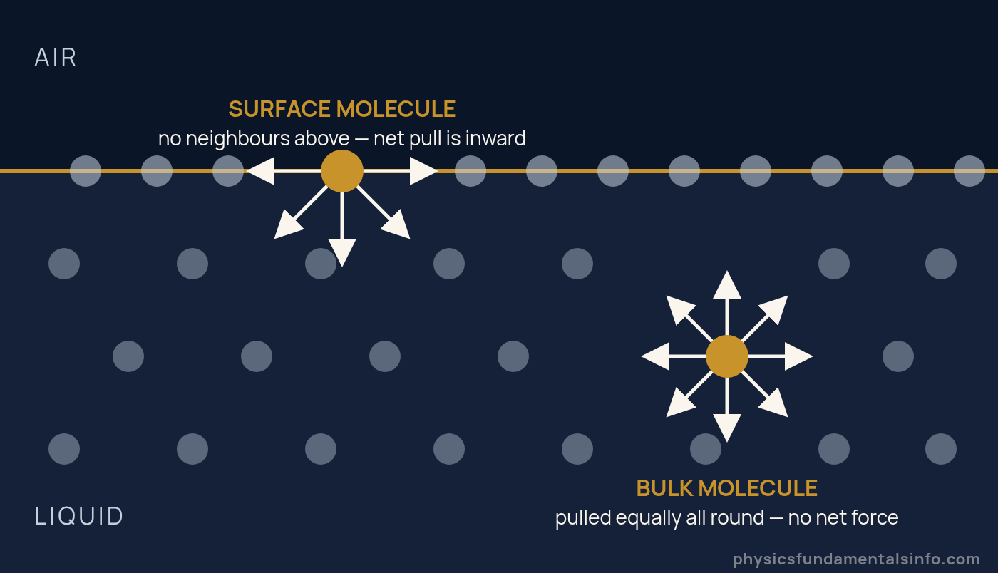 Surface tension diagram: a molecule at the liquid surface is pulled sideways and downwards only, while a molecule in the bulk is pulled equally in every direction