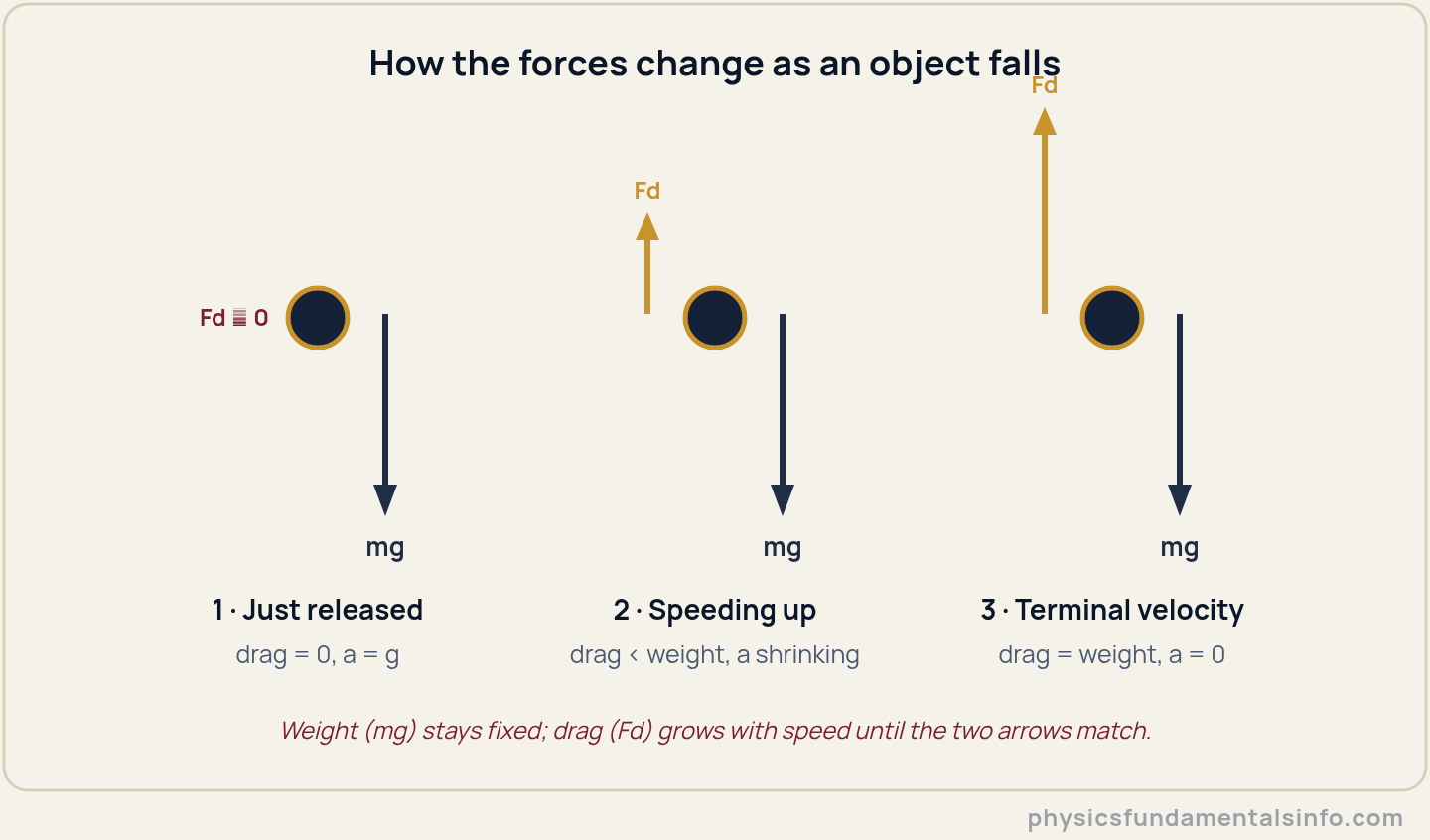 Three stages of a falling object showing the weight arrow staying constant while the drag arrow grows until it equals weight at terminal velocity