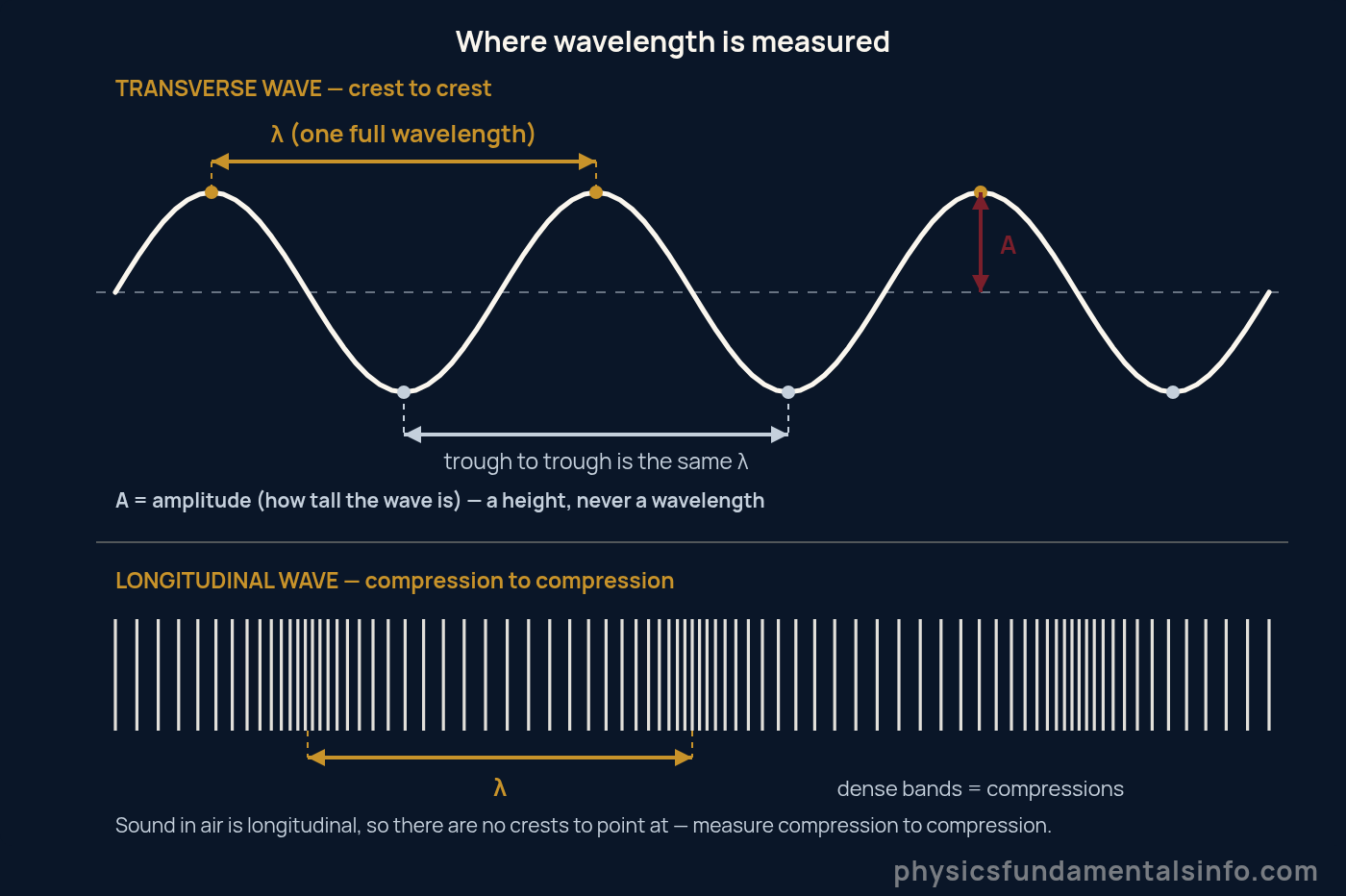 Diagram showing how wavelength is measured: crest to crest on a transverse wave and compression to compression on a longitudinal wave