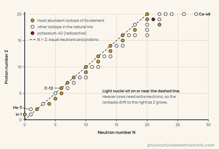 Chart of the 47 isotopes of hydrogen to calcium that NIST's isotopic-composition table lists in the natural mix. Neutron number N runs along the horizontal axis from 0 to 30 and proton number Z up the vertical axis from 0 to 20. A dashed line marks N equal to Z. The light isotopes sit on or just to the right of that line; only hydrogen-1 and helium-3 fall to its left, and the heavier elements drift further right, with calcium-48, 28 neutrons and 20 protons, the farthest. Potassium-40 is marked separately as radioactive but still part of the natural mix; calcium-48 also decays, but so extraordinarily slowly that it is plotted with the others.