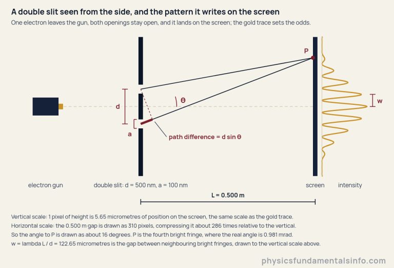 A double-slit experiment drawn from the side, with the pattern it writes on the screen. On the left a filled block is the electron gun. A dashed horizontal optic axis runs from the gun to the centre of a screen on the right. Between them stands a vertical barrier drawn as three filled blocks, leaving two openings; a dimension line to the left of the barrier marks the separation d between the two openings and a short bracket marks the opening width a. Two solid rays leave the two openings and meet at one point P on the screen, above the centre. An arc between the axis and the direction of P marks the angle theta. Close to the lower opening a thick wine segment is the extra distance the lower path covers, labelled as the path difference d sin theta, with a dashed perpendicular dropped from the upper opening onto the lower ray. To the right of the screen a gold trace is the relative intensity against position on the screen, drawn on the same vertical scale as the screen itself; a dimension line beside it marks w, the gap of 122.65 micrometres between the central maximum and the first maximum. Labels beneath name the electron gun, the double slit with d equal to 500 nanometres and a equal to 100 nanometres, the screen and the intensity trace, and a dimension line gives the slit-to-screen distance L of 0.500 metres. Footnotes state that one pixel of height is 5.65 micrometres of screen position, that the horizontal scale is compressed about 286 times relative to the vertical, and that the angle to P is therefore drawn as about 16 degrees instead of its real 0.981 milliradians.