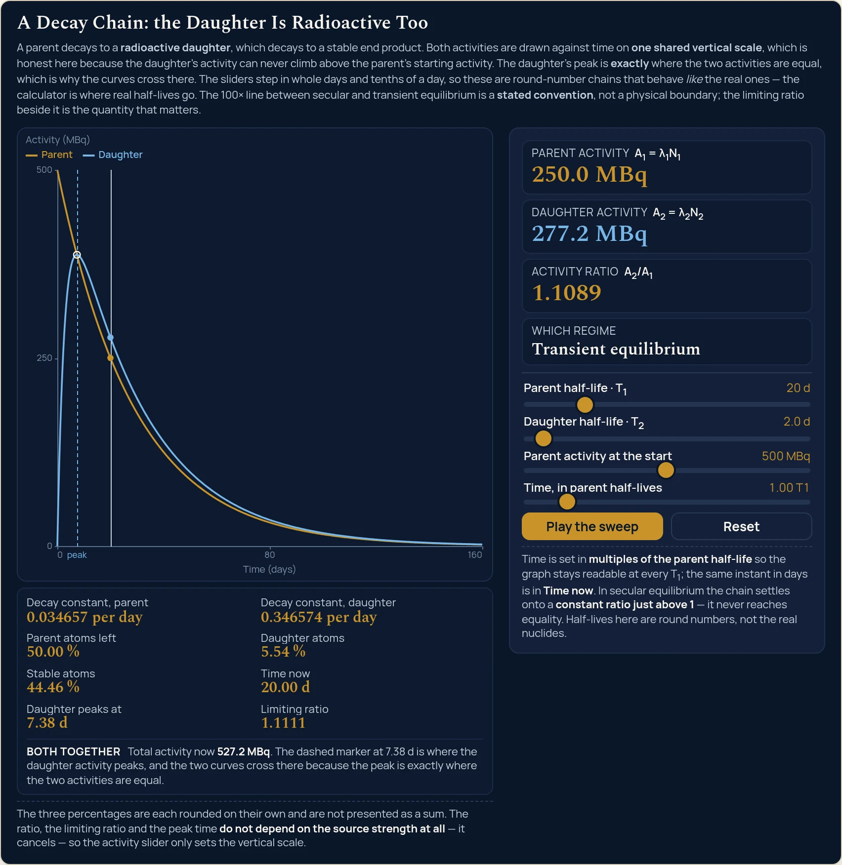 Decay chain simulator on the state it opens in: 20 d and 2.0 d at 500 MBq with the clock on 1.00 T1 gives Parent activity 250.0 MBq, Daughter activity 277.2 MBq, Activity ratio 1.1089 and Which regime Transient equilibrium, while the eight cells beneath the graph read Decay constant parent 0.034657 per day, Decay constant daughter 0.346574 per day, Parent atoms left 50.00 %, Daughter atoms 5.54 %, Stable atoms 44.46 %, Time now 20.00 d, Daughter peaks at 7.38 d and Limiting ratio 1.1111; the strip says Total activity now 527.2 MBq followed by the sentence about the dashed marker at 7.38 d; the graph plots Activity (MBq) against Time (days) with ticks 0, 80 and 160 across and 0, 250 and 500 up, a gold Parent curve falling from the top left, a blue Daughter curve rising from zero to cross it and then run just above it, a solid vertical cursor at the time now with a dot on each curve, and a dashed vertical marker at the crossing with the word peak beside the axis.