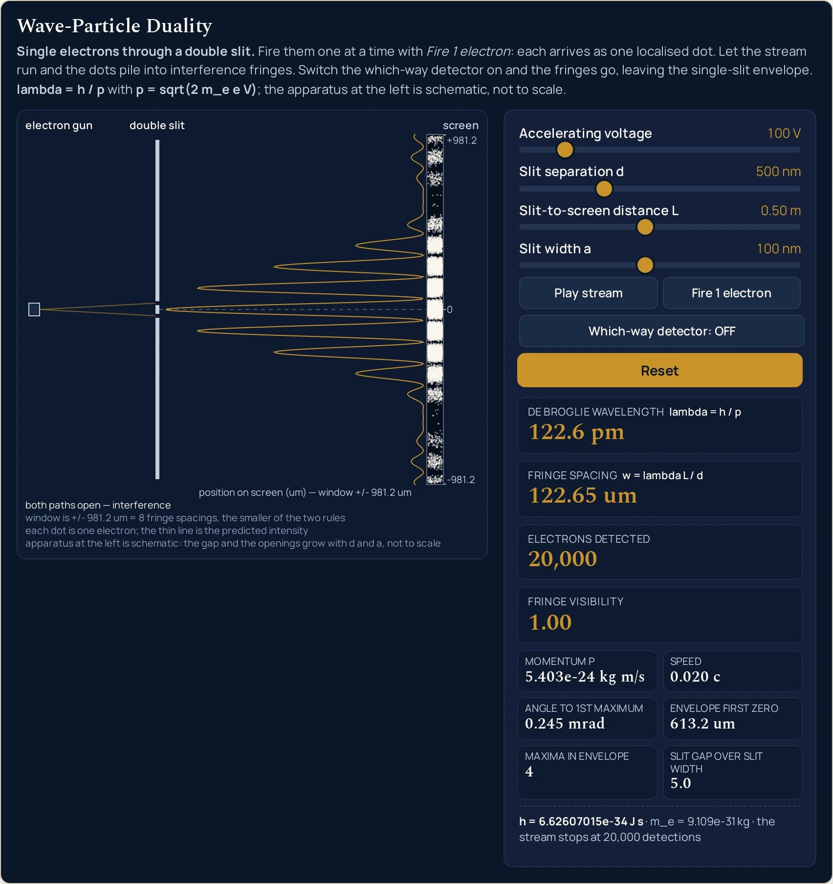 Wave-particle duality simulator with all four sliders at the values it boots in: Accelerating voltage 100 V, Slit separation d 500 nm, Slit-to-screen distance L 0.50 m and Slit width a 100 nm, with the Which-way detector button reading OFF and left unpressed. The stream has already stopped itself at its limit, so the first button reads Play stream rather than Pause stream. The four cards read De Broglie wavelength, under the printed label lambda = h / p, 122.6 pm; Fringe spacing, under the printed label w = lambda L / d, 122.65 um; Electrons detected 20,000; and Fringe visibility 1.00. The six smaller cells read Momentum p 5.403e-24 kg m/s, Speed 0.020 c, Angle to 1st maximum 0.245 mrad, Envelope first zero 613.2 um, Maxima in envelope 4, and Slit gap over slit width 5.0. The drawing sits to the left of the panel at this width. A small square electron gun at the far left is labelled electron gun, a tall pale vertical bar labelled double slit stands about a third of the way across with a narrow gap in it, and a narrow vertical strip at the right-hand edge is labelled screen. That strip carries twenty thousand tiny marks, and they are plainly not spread evenly: a dense bright band lies along the centre line, with fainter bands above and below it and dark gaps in between. Beside the strip, on the very same vertical axis, a thin gold curve rises to a tall peak on the centre line and to smaller peaks either side that shrink as they move away, and each band of marks lines up with a peak of the curve. Tick labels beside the strip read +981.2 at the top, 0 at the centre and -981.2 at the bottom, and the axis under the plot is labelled position on screen (um) with window +/- 981.2 um. Four caption lines run underneath: both paths open and interference; window is +/- 981.2 um = 8 fringe spacings, the smaller of the two rules; each dot is one electron and the thin line is the predicted intensity; and apparatus at the left is schematic, the gap and the openings growing with d and a and not to scale. The fixed line under the readouts gives h = 6.62607015e-34 J s, m_e = 9.109e-31 kg, and the stream stops at 20,000 detections.